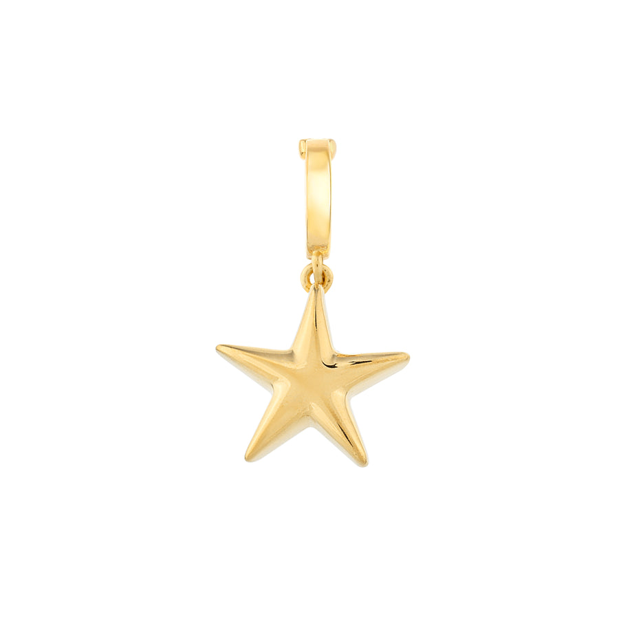 Gold Star Charm